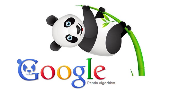 Panda Update Google – A Complete Guide